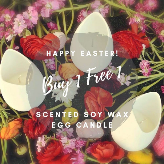 Buy 1 Free 1
