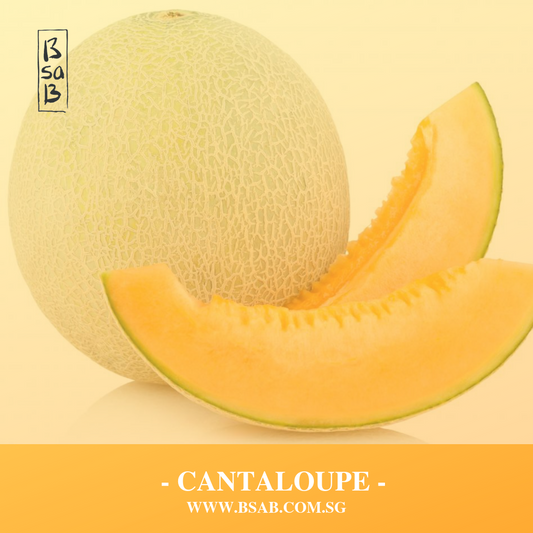 CANTALOUPE