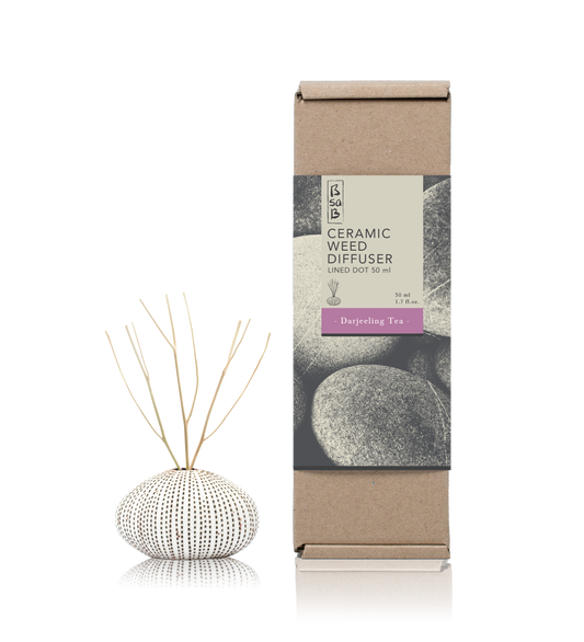 Ceramic Diffuser Line Dot Finished 50ml