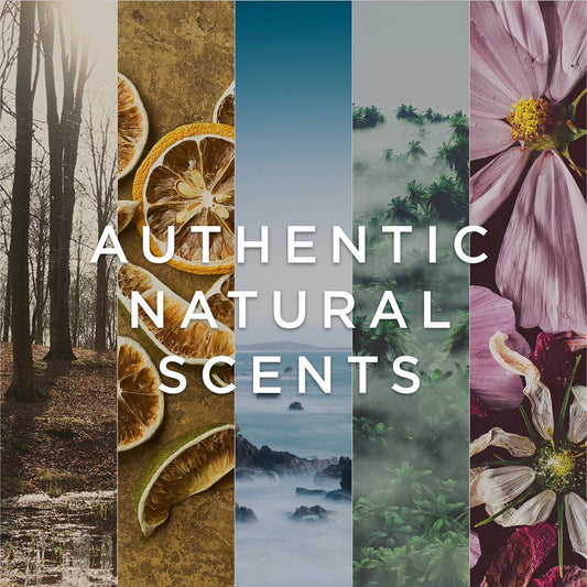 OUR SCENTS