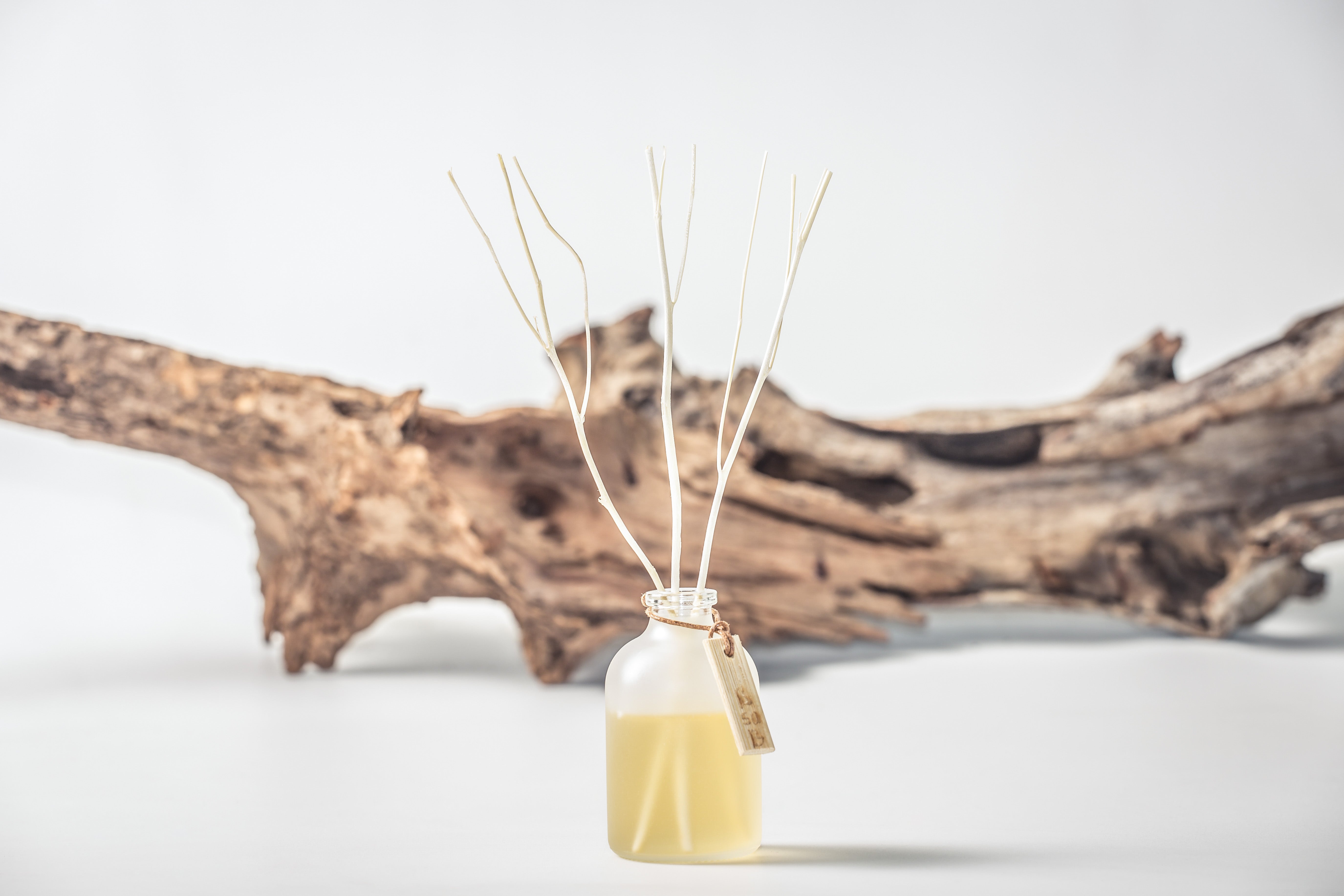 Basaba Diffuser Diffuser 50ml – BsaB Singapore